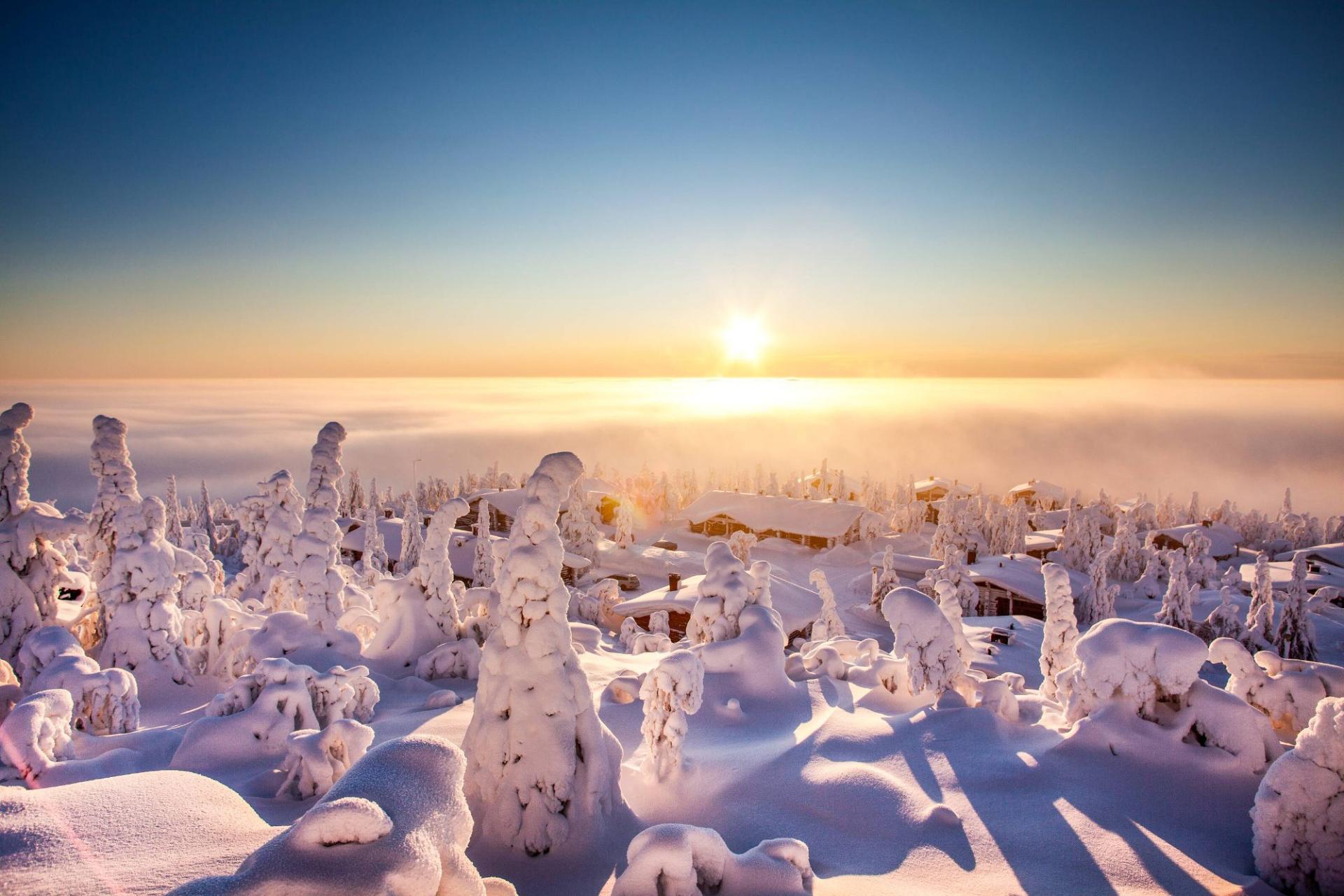 Snow-laden trees and log cabins on a fell above a cloud inversion at sunrise, Finnish Lapland