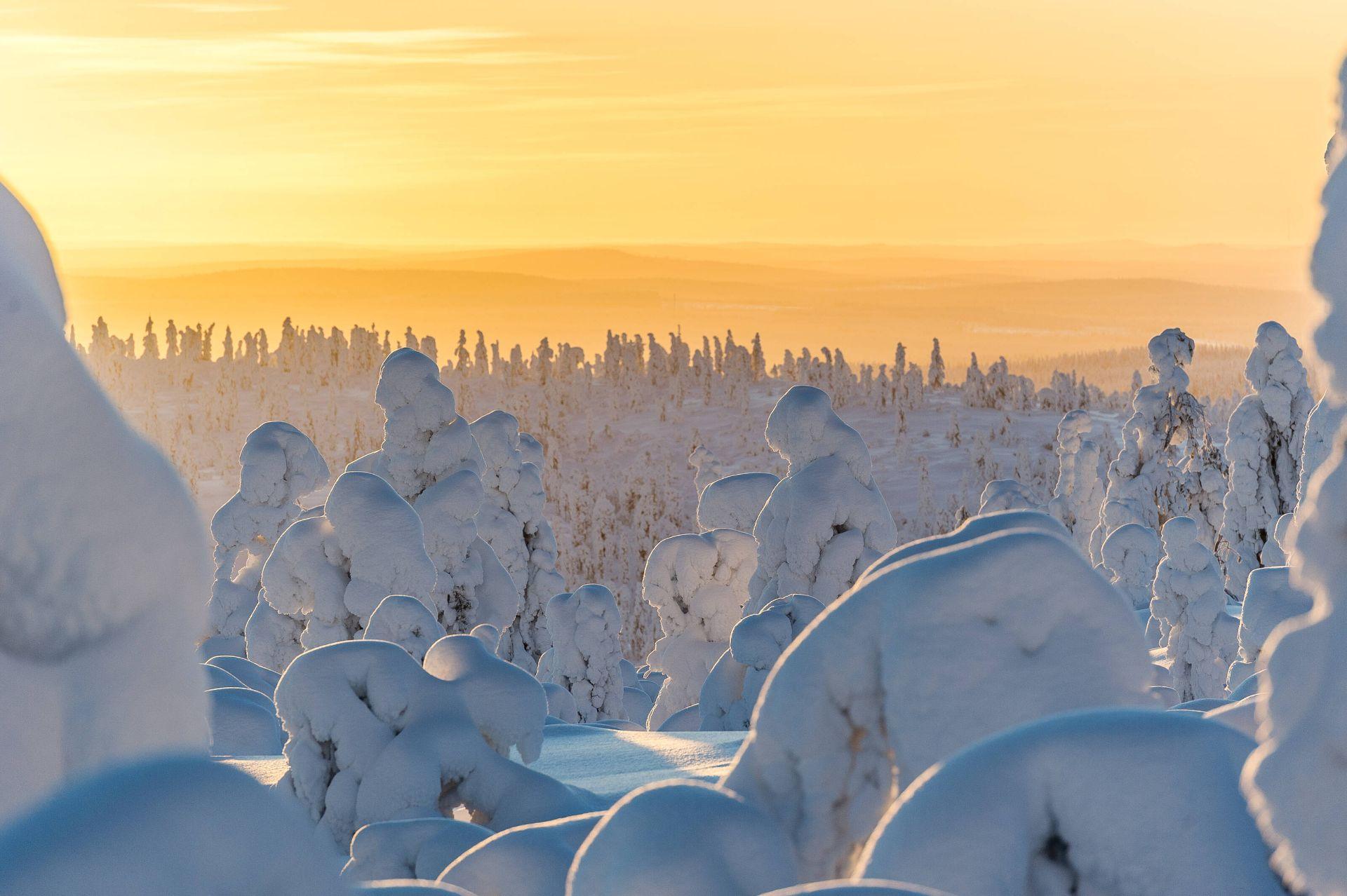 Sunset over the lakes from Koli, eastern Finland