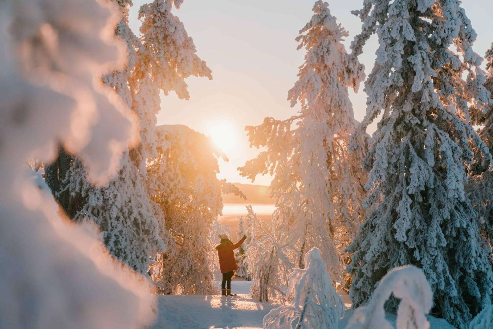 First Arctic days