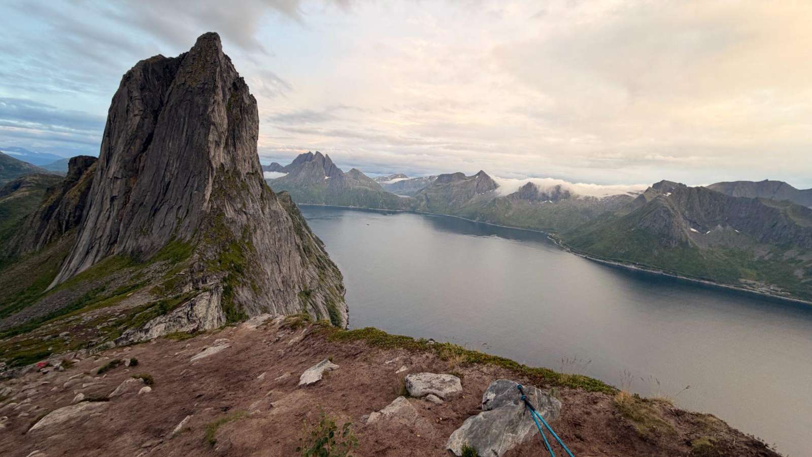 Aurora, whales and Senja